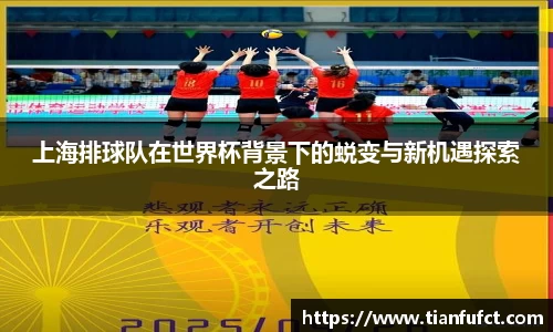 上海排球队在世界杯背景下的蜕变与新机遇探索之路